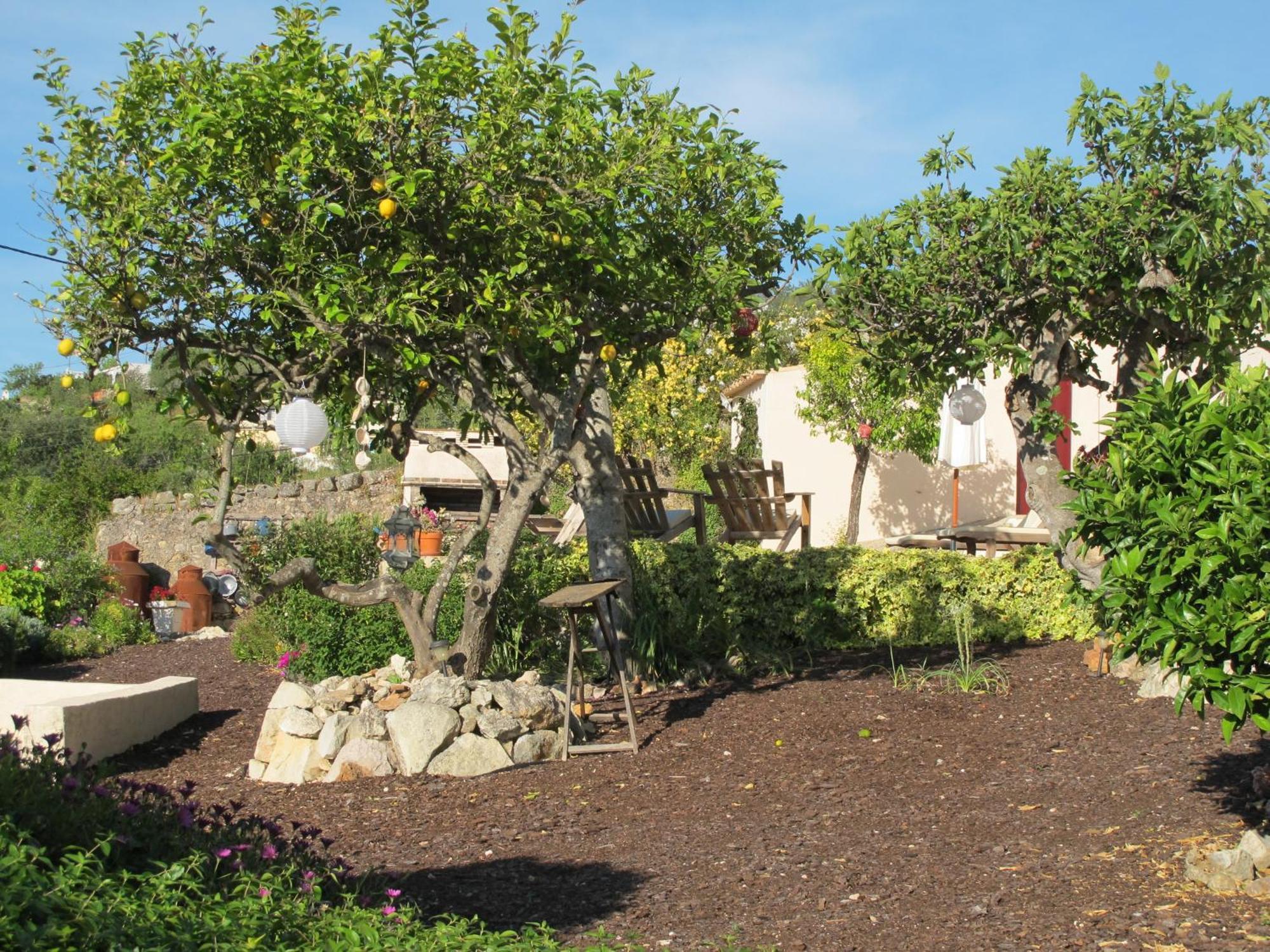 Corregos de Monte Seco B&B Candelaria מראה חיצוני תמונה