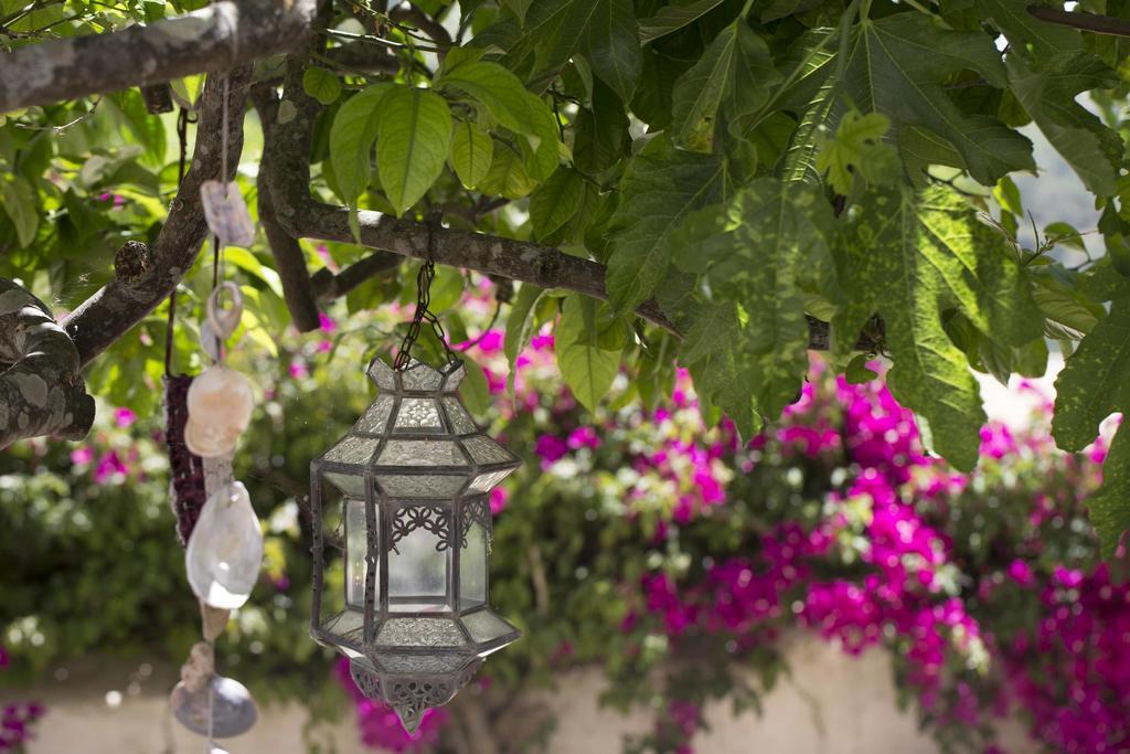 Corregos de Monte Seco B&B Candelaria מראה חיצוני תמונה