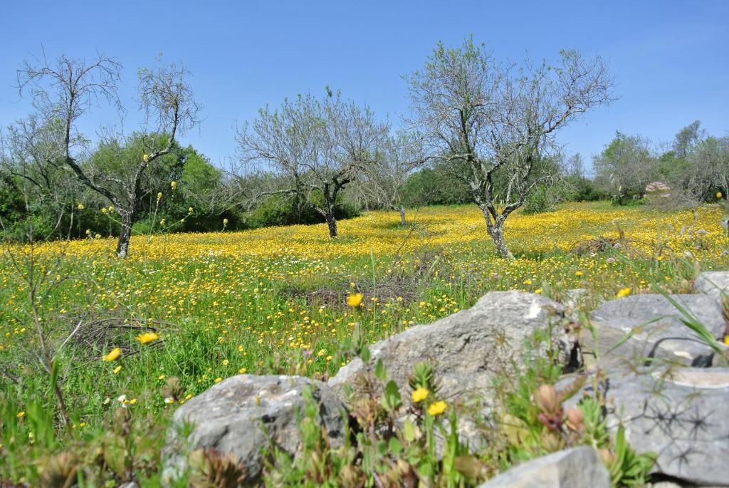 Corregos de Monte Seco B&B Candelaria מראה חיצוני תמונה